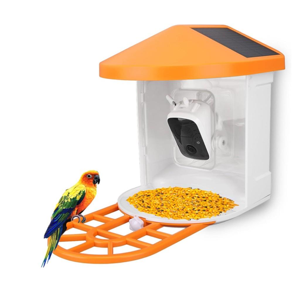 Others |  Bird Watching Camera Solar Powered Night Vision 1080P AI-powered Camera Wireless Wifi Smart Bird Feeder with Solar Panel & Microphone & Speaker Hunting Others